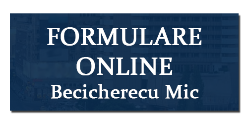formulare online